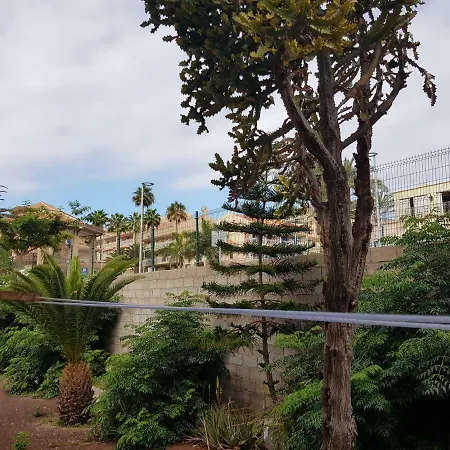 Apartamento Playa Las Vistas * Arona (Tenerife)